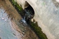 Close Up of Drain Pipe Moss Sludge Royalty Free Stock Photo