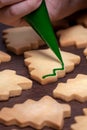 Close up of drawing Christmas tree sugar cookie on wooden table background with icing Royalty Free Stock Photo