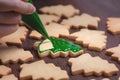 Close up of drawing Christmas tree sugar cookie on wooden table background with icing Royalty Free Stock Photo