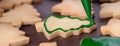 Close up of drawing Christmas tree sugar cookie on wooden table background with icing Royalty Free Stock Photo