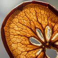 A close-up of a dried apple slice reveals its intricate, translucent, veiny structure. The Royalty Free Stock Photo