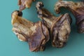 Close-up of dried beef ears on a turquoise background Royalty Free Stock Photo