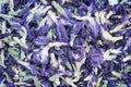 Dried butterfly pea flowers tea or blue clitoria ternate texture top view on background Royalty Free Stock Photo