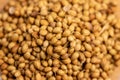 Dried coriander seeds, small ball white pale or pale brown with a fragrant aroma used as curry paste