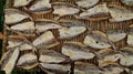 Close-up dried fish on bamboo background Royalty Free Stock Photo