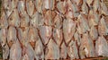 Close-up dried fish on bamboo background Royalty Free Stock Photo