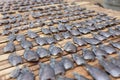 Close up Dried fish on bamboo mat Royalty Free Stock Photo