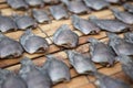 Close up Dried fish on bamboo mat Royalty Free Stock Photo