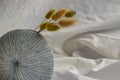 Close-up of Dried flowers in Handmade Ceramic Vase on White background Royalty Free Stock Photo