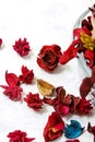 Close up on dried leaves and rose Royalty Free Stock Photo