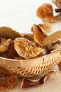 Close up of dried mushrooms Royalty Free Stock Photo
