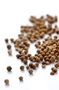 Close up of dried mustard seeds Royalty Free Stock Photo