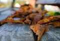 Close-up of dried orange leaf on wooden bench. Autumn vintage stylish background Royalty Free Stock Photo