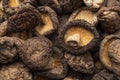 Close up Dried shiitake mushrooms Royalty Free Stock Photo