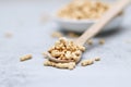 Close up of dried soy bean meat mince on wooden spoon Royalty Free Stock Photo