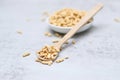 Close up of dried soy bean meat mince on wooden spoon Royalty Free Stock Photo