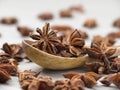 Close up of dried star anise piled on a spoon