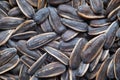 Close up Dried sunflower seeds for texture background Royalty Free Stock Photo