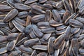 Close up Dried sunflower seeds for texture background Royalty Free Stock Photo