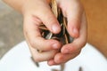 Dried sunflower seeds on young child hand Royalty Free Stock Photo