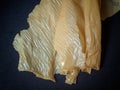 Close up Dried Tofu Skin. Royalty Free Stock Photo