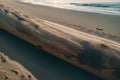 Close-up of a driftwood log on a beach