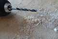 Close-up of the drill head of a cordless screwdriver on wood with sawdust. Wood chips caused by drills. Close up macro wood drill Royalty Free Stock Photo