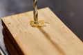 Close up of drilling into wood with screw twisted into place, metal drill bit Royalty Free Stock Photo