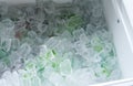 Close up on drinking cans inside ice blocks in the cooler Royalty Free Stock Photo