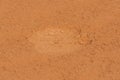 A close up of a dromedary camel Camelus dromedarius footprint or track across the desert sand in the United Arab Emirates