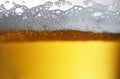 Close up drops of a Ice Cold Pint of Beer Royalty Free Stock Photo