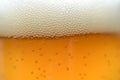 Close up drops of a Ice Cold Pint of Beer Royalty Free Stock Photo