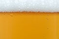 Close up drops of a Ice Cold Pint of Beer Royalty Free Stock Photo