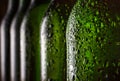 Beer in the bottle. Close-up. Drops of water on a chilled beer bottle. Concept: St. Patrick`s Day, Oktoberfest, Bavaria, Germany,