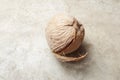 Dry coconut on cement floor Royalty Free Stock Photo