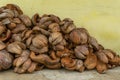 Close up of dry coconut shell and fiber. Bunch of raw brown coconut coir Royalty Free Stock Photo