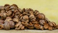 Close up of dry coconut shell and fiber. Bunch of raw brown coconut coir Royalty Free Stock Photo