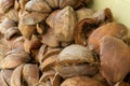 Close up of dry coconut shell and fiber. Bunch of raw brown coconut coir Royalty Free Stock Photo