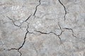 Close up of dry cracked ground surface Royalty Free Stock Photo