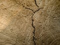 Dry Cracked Mud Wall Texture with Natural Earth Patterns. Royalty Free Stock Photo