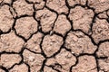 Close-up of dry cracked soil texture in arid area due to lack of water amid global warming. Concept of environmental Royalty Free Stock Photo