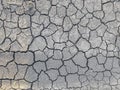 Dry cracked soil texture background Royalty Free Stock Photo