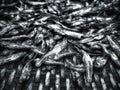 Close up of dry fish on a bamboo woven tray in black and white.