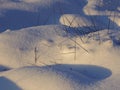 Snow-covered tufts of dry grass in the light of the setting sun. Royalty Free Stock Photo