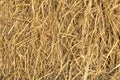 Close up of a Dry grass straw, harvest, hay background. Texture of straw.