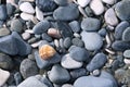 Pebbles and seashell on beach texture