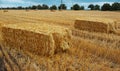 Close-up of dry haystacks in the field. Natural agriculture background.Close-up of dry haystacks in the field. Royalty Free Stock Photo