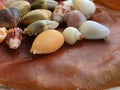 Close up of a dry leave with assortment of small seashells on white polished stone, macro