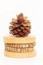 Closeup of dry Pine cone on round teak wood on white background