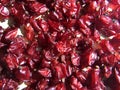 Close up of dry red barberry
